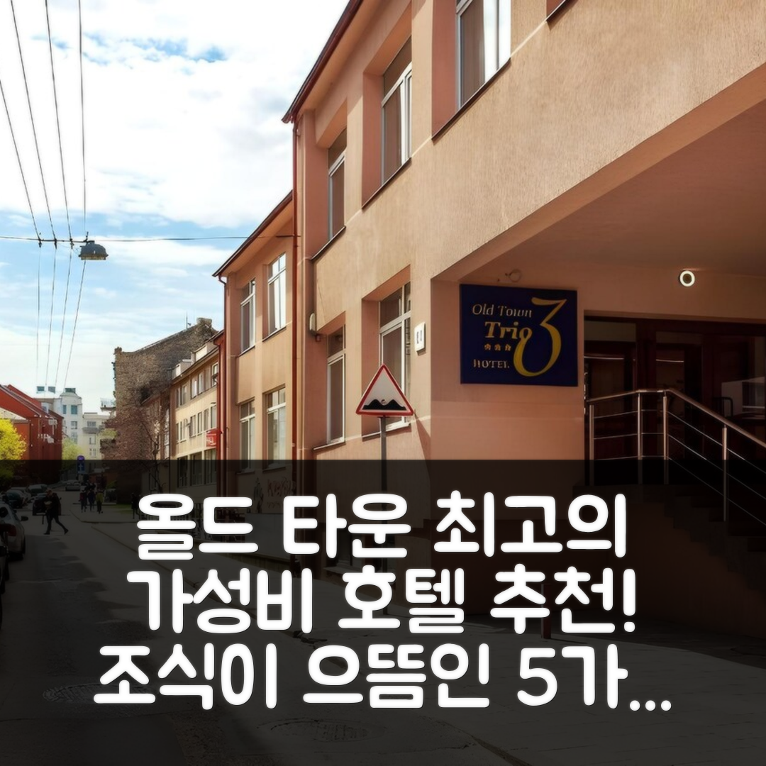 빌뉴스 숙소 여행 호텔 추천 올드 타운 트리오 호텔 | 가성비와 조식이 뛰어난 5가지 이유