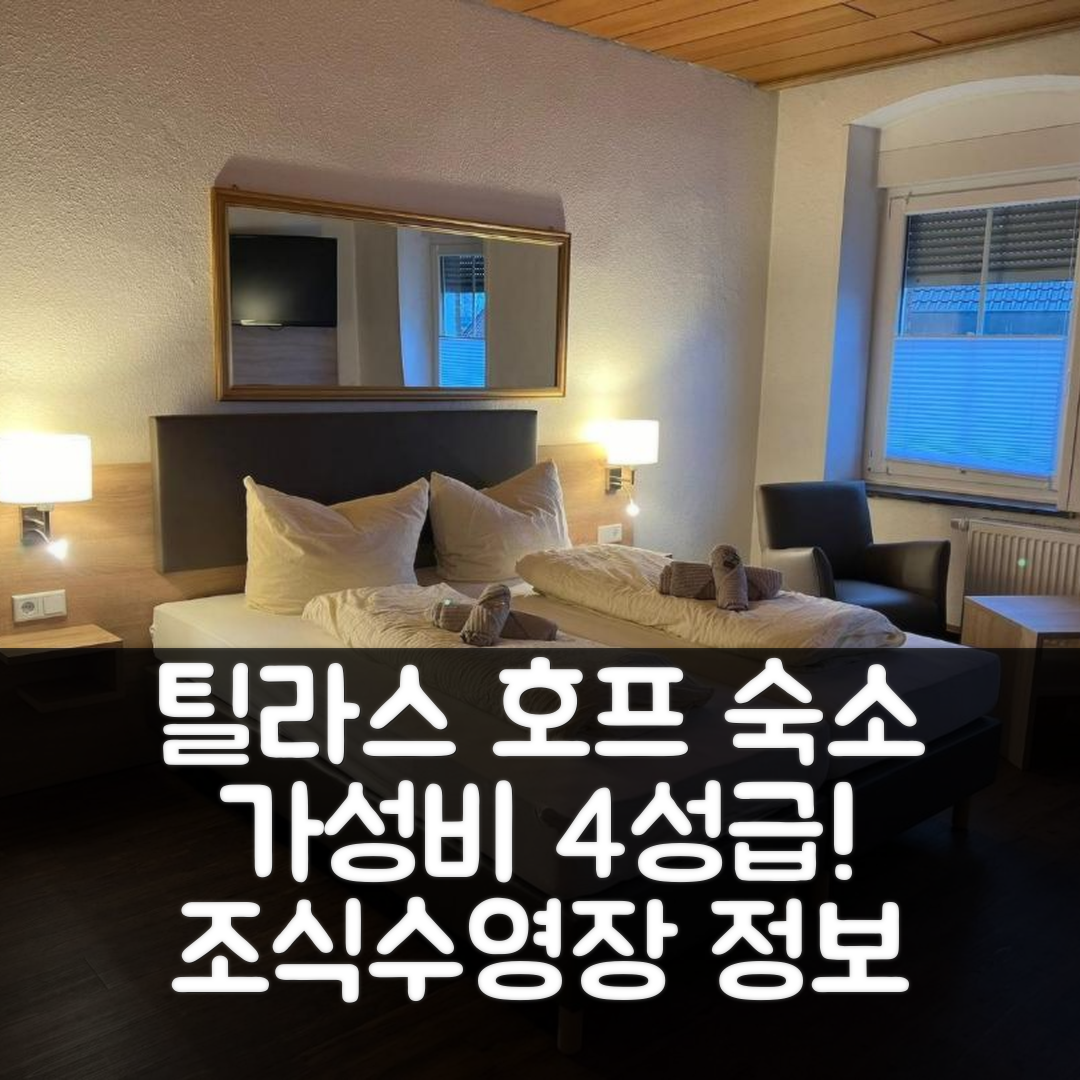 함 숙소 여행 호텔 추천 틸라스 호프 | 가성비 뛰어난 4성급 조식과 수영장 정보 7가지