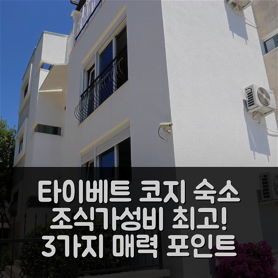 타이베트 숙소 여행 호텔 추천 코지 아파트먼트 | 조식과 가성비 뛰어난 3가지 매력 포인트