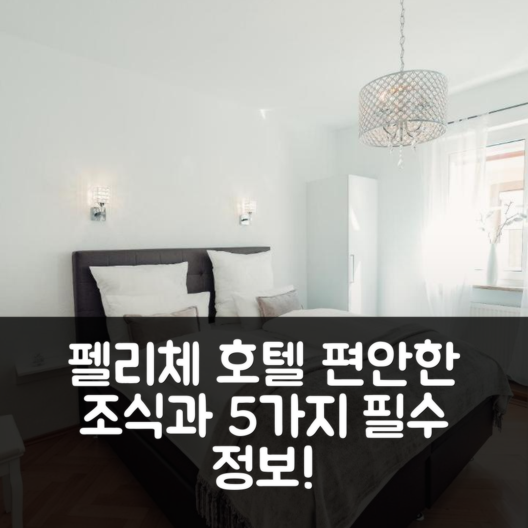 봅핑겐 숙소 여행 호텔 추천 다 펠리체 호텔 | 조식과 편안한 숙소로 즐기는 5가지 필수 정보