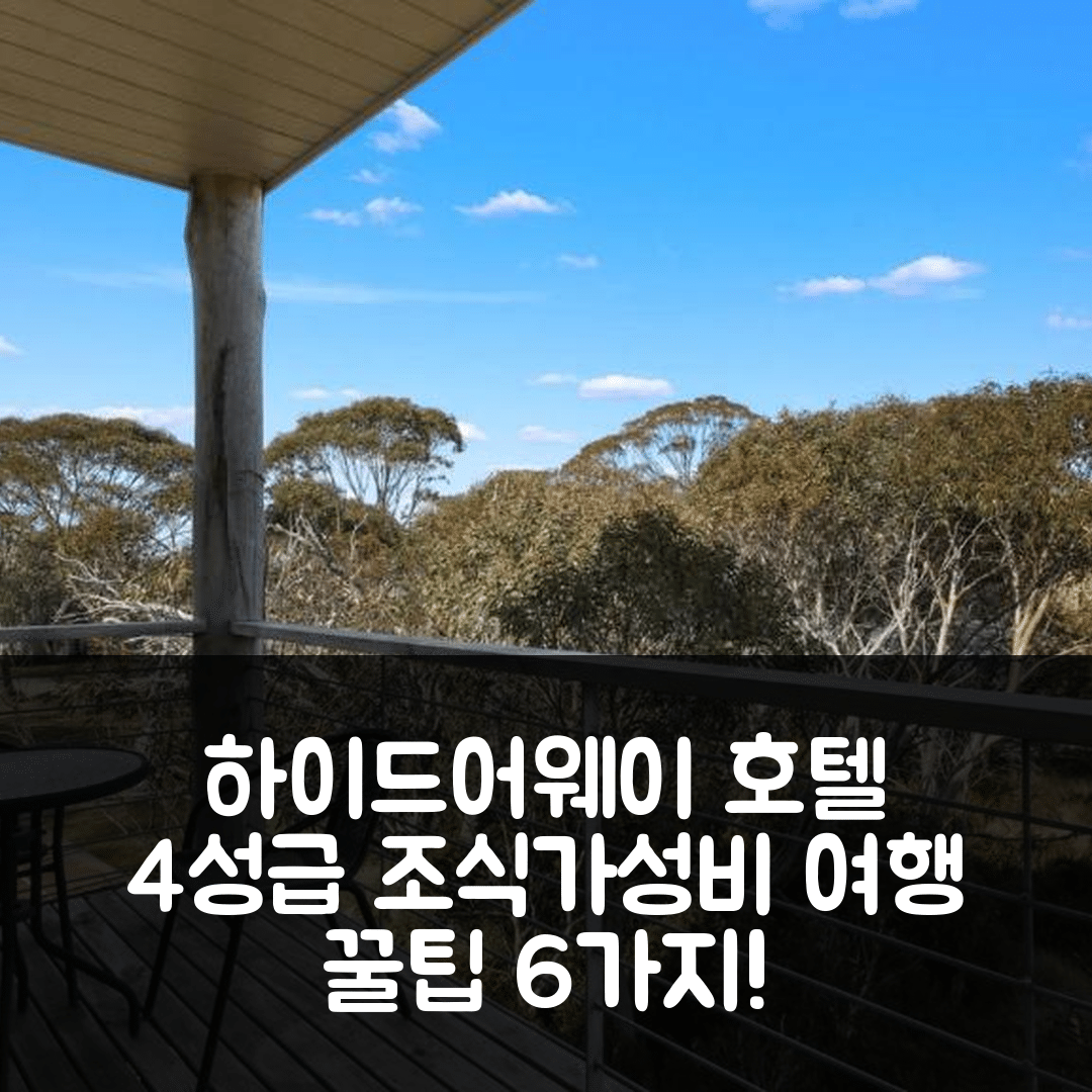 디너 플레인 숙소 여행 호텔 추천 하이드어웨이 호텔 | 4성급 조식과 가성비 좋은 위치 탐방 6가지 팁