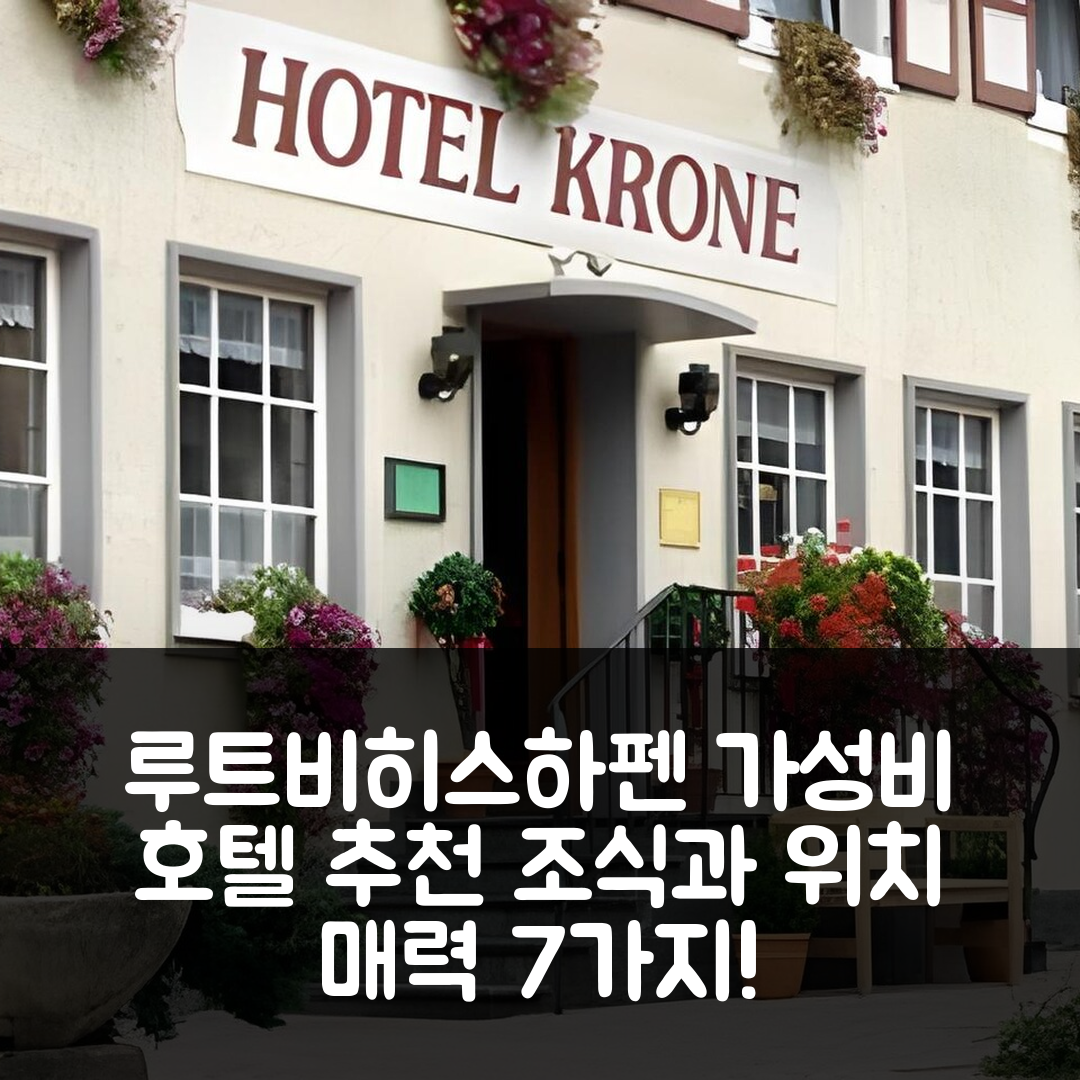 보드만 루트비히스하펜 숙소 여행 호텔 추천 보덴제호텔 크로네와 게스트하우스 | 가성비 뛰어난 조식과 위치의 매력 7가지