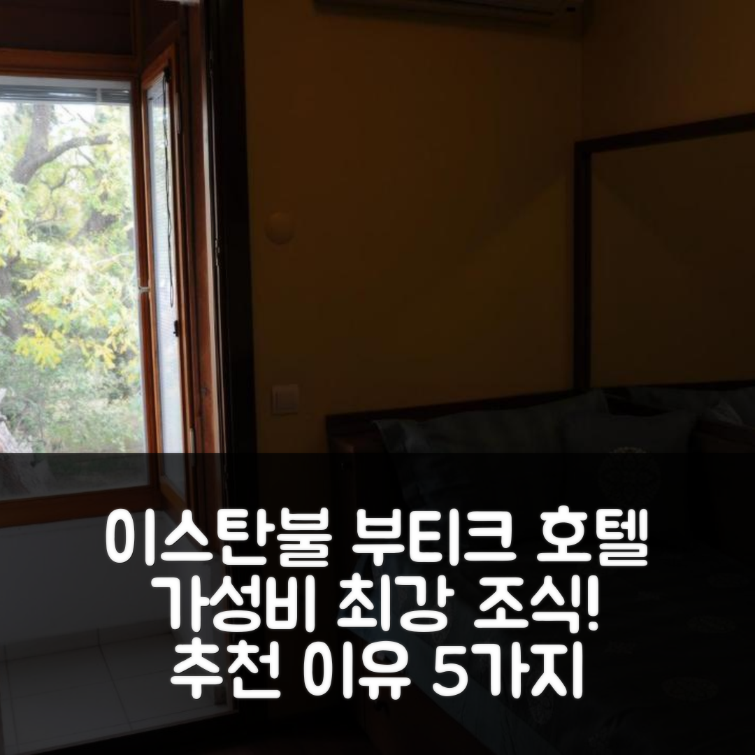 이스탄불 숙소 여행 호텔 추천 부티크 펜딕 호텔 | 가성비 최고 조식과 위치로 즐기는 5가지 이유