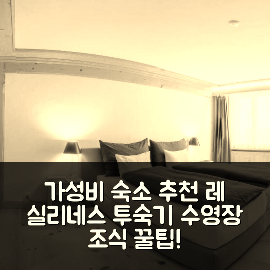 자넨 숙소 여행 호텔 추천 아파트 레 실리네스 | 가성비 뛰어난 수영장과 조식 정보 5가지