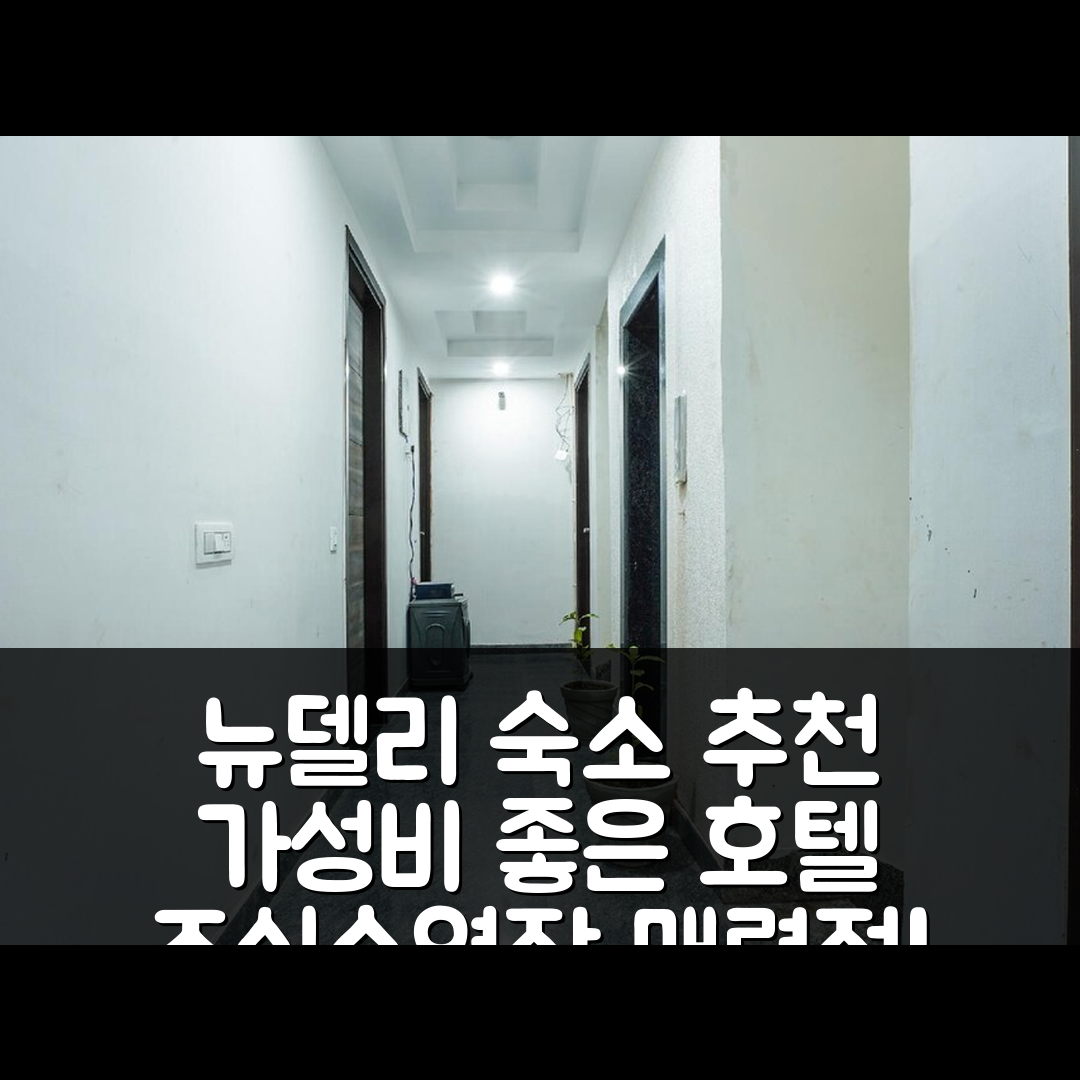 뉴델리 숙소 여행 호텔 추천 오 로얄 오르빗 호텔 | 가성비와 조식, 수영장이 매력적인 5가지 이유