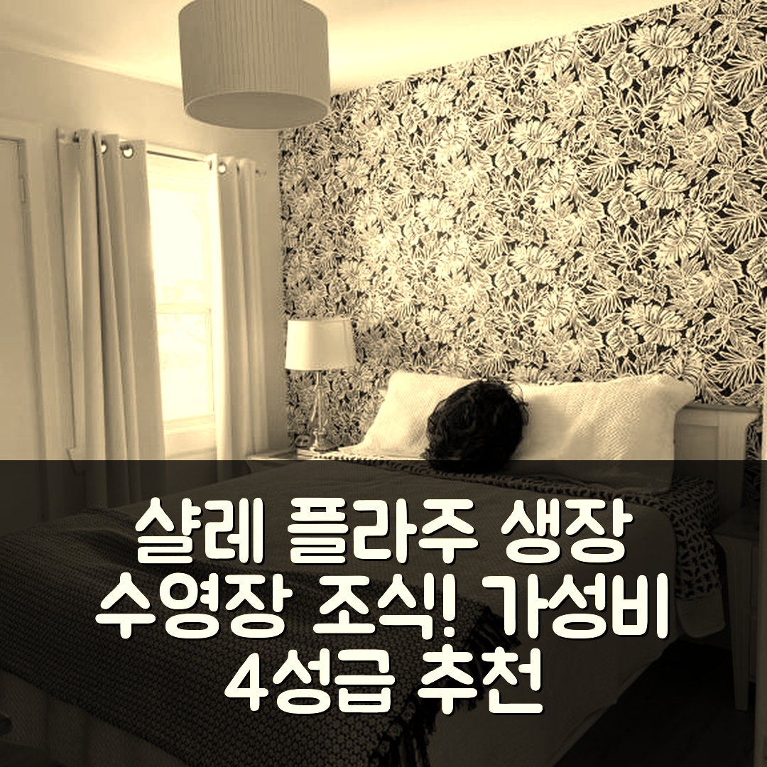 생 장 드 릴 도를레앙 숙소 여행 호텔 추천 샬레 플라주 생장 | 가성비 좋은 4성급 조식과 수영장 즐기기 5가지 팁