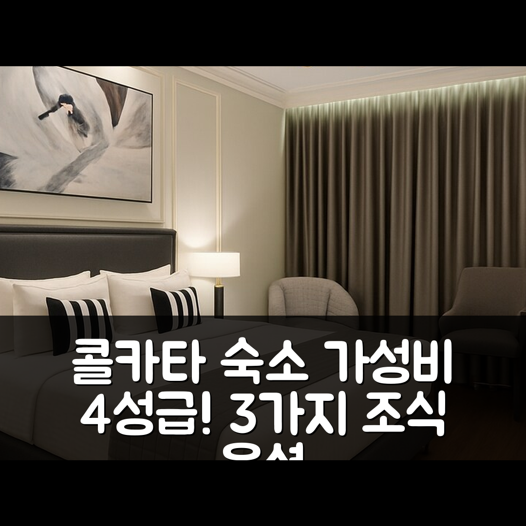 콜카타 숙소 여행 호텔 추천 아오리스 호텔 | 가성비 뛰어난 3가지 조식 옵션과 4성급 위치 정보
