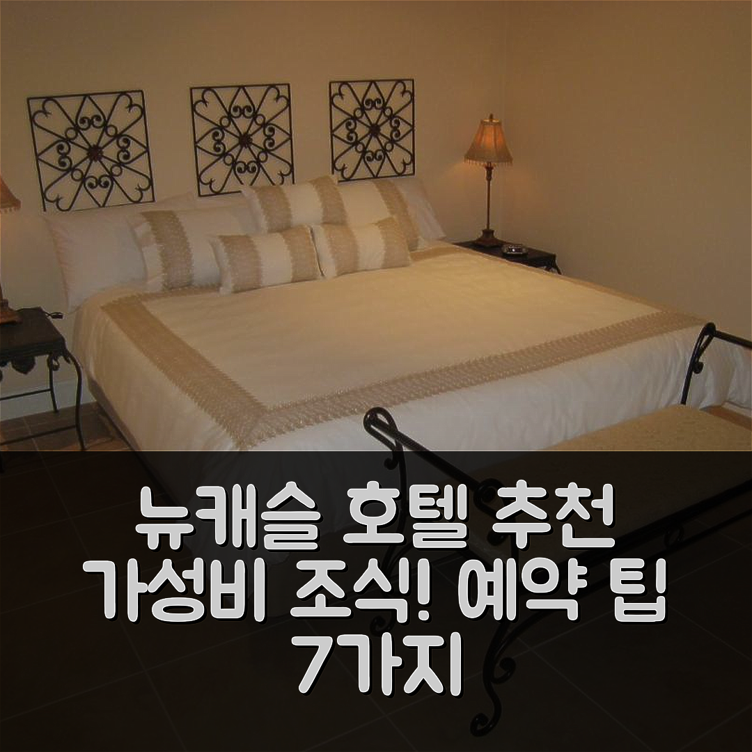 뉴캐슬 숙소 여행 호텔 추천 브레자 벨라 비앤비 | 가성비 좋은 조식과 위치, 예약 팁 7가지