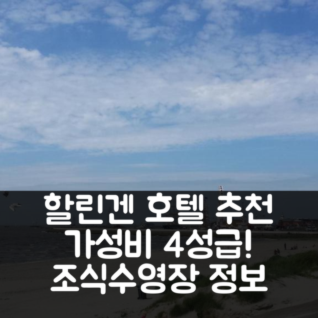 할린겐 숙소 여행 호텔 추천 로기스 오메스 | 가성비 뛰어난 4성급 조식과 수영장 정보 5가지