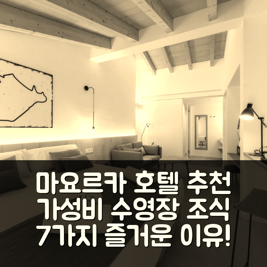 마요르카 숙소 여행 호텔 추천 아라 알쿠디아 | 가성비 좋은 수영장과 조식으로 즐기는 7가지 이유