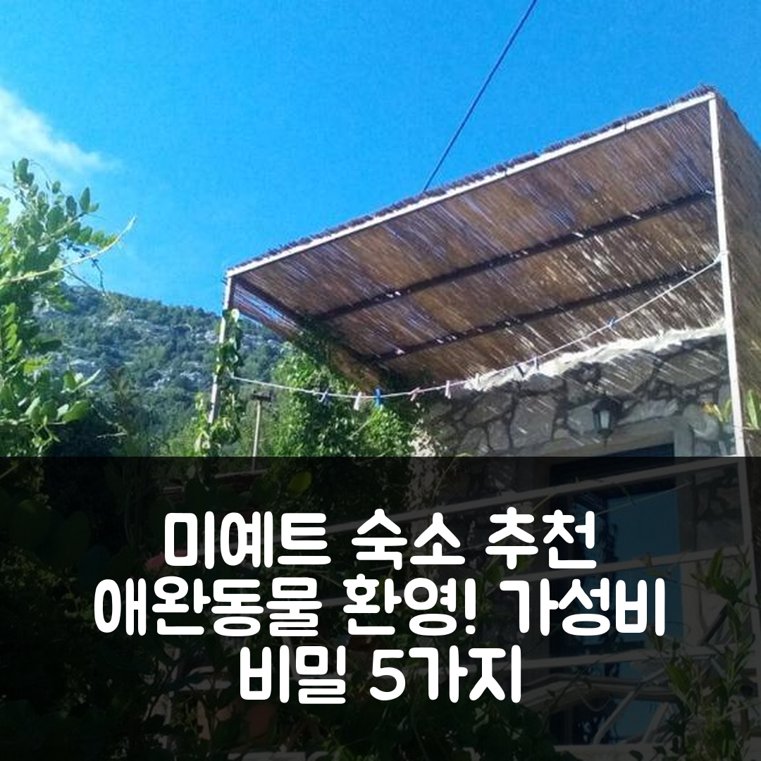 미예트 숙소 여행 호텔 추천 코티지 멜리타 애완동물 애호가를 위한 조식과 가성비 5가지 비밀