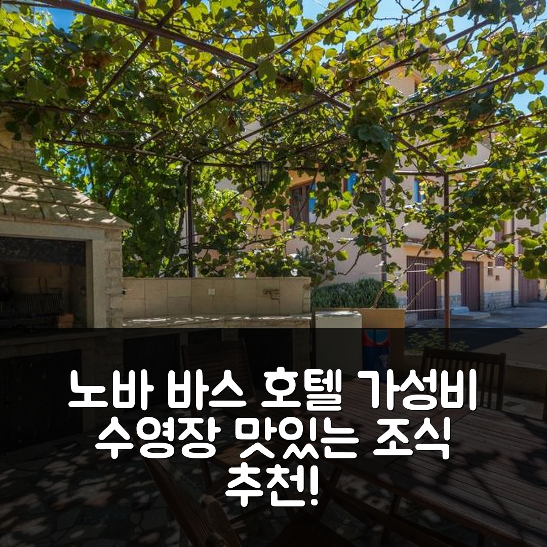 노바 바스 숙소 여행 호텔 추천 아파트 콤플렉스 베트리나 | 가성비 뛰어난 수영장과 조식 제공 5가지 이유