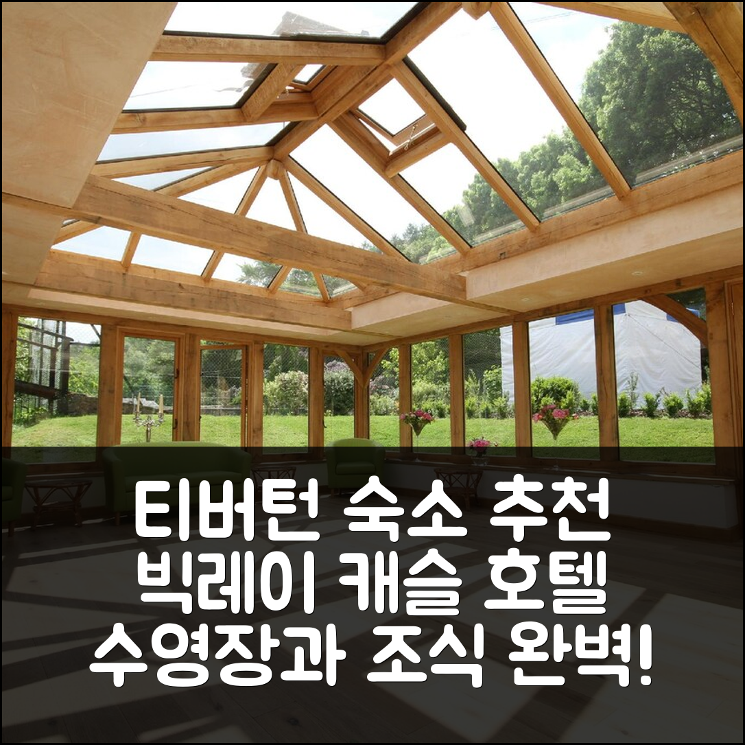 티버턴 숙소 여행 호텔 추천 빅레이 캐슬 호텔 | 4성급 가격과 조식, 수영장 완벽한 선택 5가지 팁