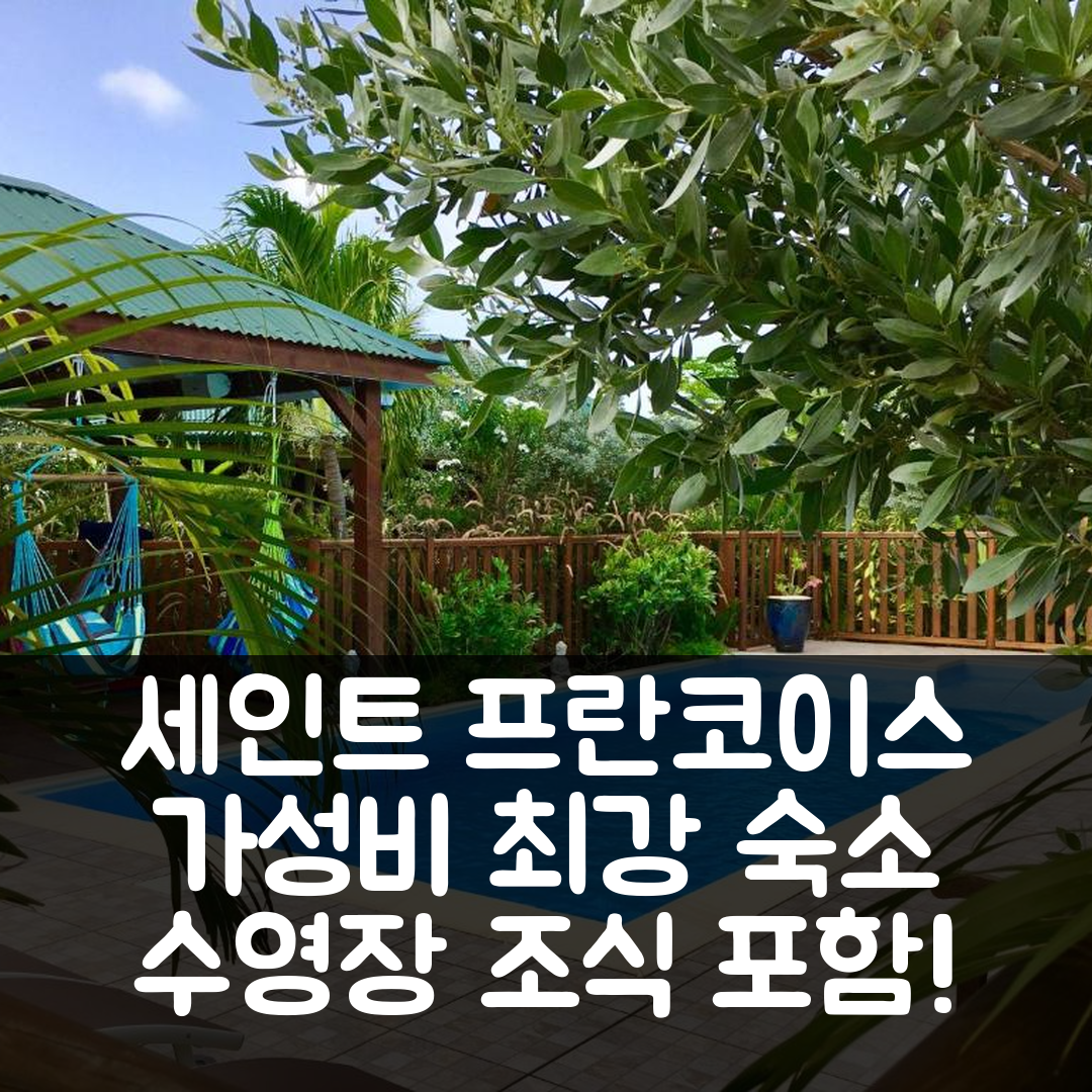 세인트 프란코이스 숙소 여행 호텔 추천 티탈리 로지 | 수영장과 조식 포함 가성비 최강 3성급 숙소 7가지 장점