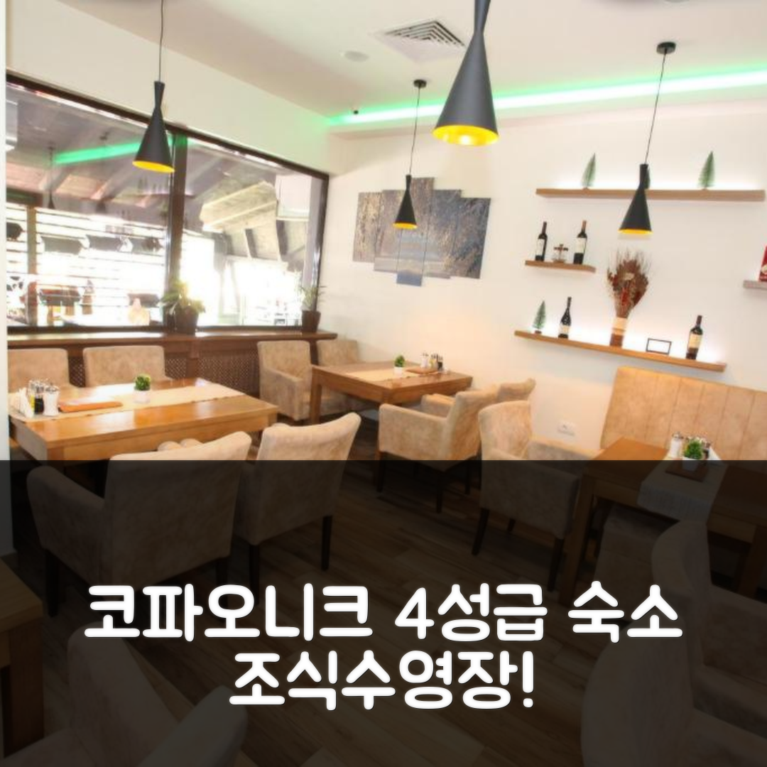 코파오니크 숙소 여행 호텔 추천 아파트 드림 코나치 | 4성급 가성비 뛰어난 조식과 수영장 정보 5가지