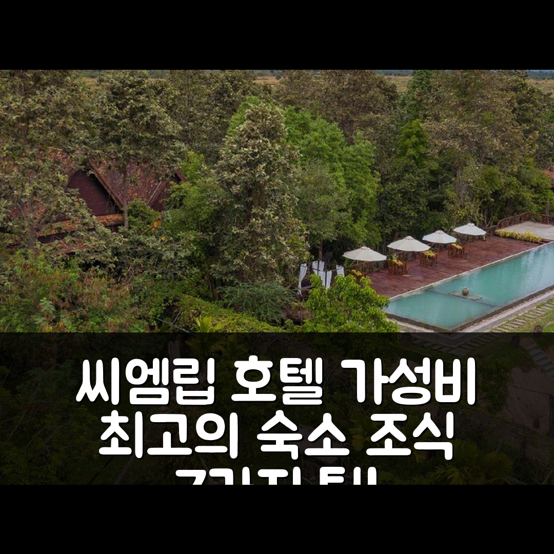 씨엠립 숙소 여행 호텔 추천 봉 톰 포레스트 인 | 가성비 뛰어난 위치와 조식 정보 7가지 안내