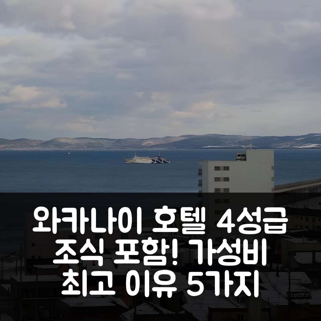 와카나이 숙소 여행 호텔 추천 호텔 미소노 | 4성급 조식과 위치, 가성비 뛰어난 5가지 이유